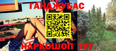 молекула духа Жуковский