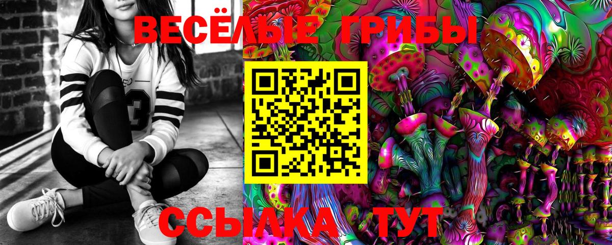 Псилоцибиновые грибы MAGIC MUSHROOMS  Псилоцибиновые грибы Psilocybe  Ленинск-Кузнецкий  Вход с VPN 