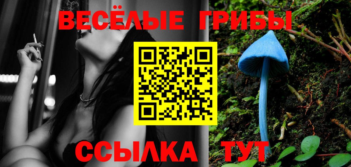 Галлюциногенные грибы MAGIC MUSHROOMS Ленинск-Кузнецкий